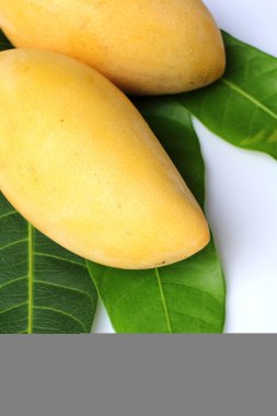 Tay tatlı mango meyve