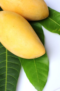 Tay tatlı mango meyve