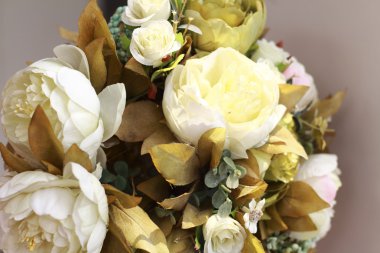 Beyaz güzel çiçekler