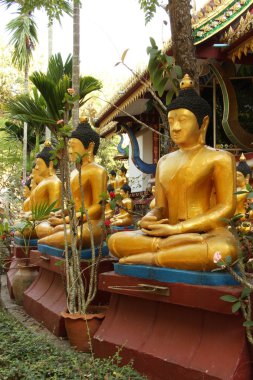 Tay tapınak ve altın buddha