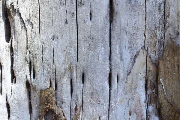 Wood detail — Stock Photo, Image