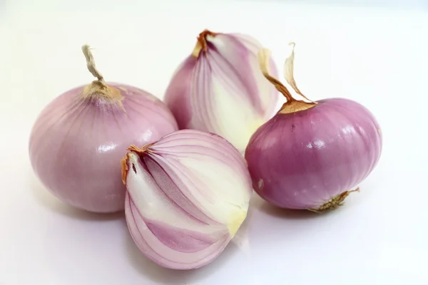 Oignon frais du marché — Photo