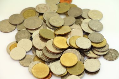 yeşil bahçe böcek abd böcek