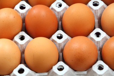 Yumurta grubu arasında