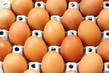 Yumurta grubu arasında