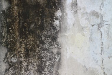 Eski beton duvar dokusu 