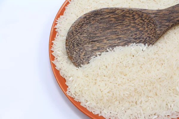 Thai ris till utsäde — Stockfoto