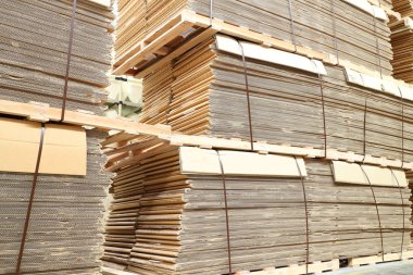 Ambar Anmalık kutular