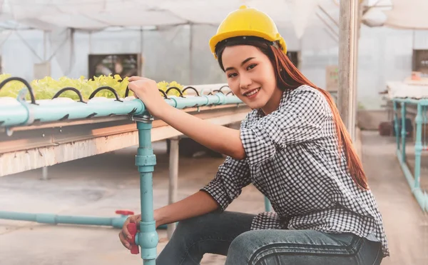 Retrato Hermosas Empresarias Asiáticas Usan Sombreros Seguridad Para Amarillar Sentarse — Foto de Stock