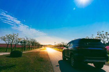 Araba, yolun kenarındaki beton bir yolda ilerliyor. Ulaşım kavramına giden güzel bir çiçek bahçesi..