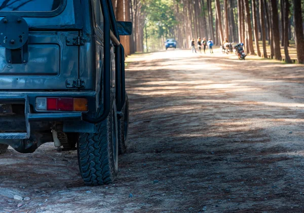 Pickup trucks parked on the road, rough paths, There is a cloud of dust, which is a path that is planted with pine trees, to transportation concept.