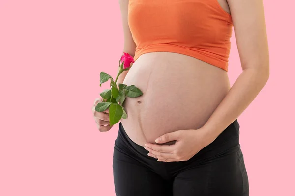 Close Beelden Van Zwangere Vrouwen Holding Een Roze Roos Bloem — Stockfoto