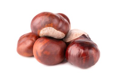 Beyaz arka planda izole edilmiş at kestanesi meyveleri. Aesculus hipocastanum