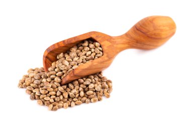 Beyaz arka planda yalıtılmış kenevir tohumları. Ahşap kepçe içinde kuru kenevir, kenevir veya marihuana tohumları