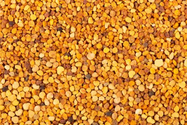 Flower polen taneleri arka planda. Arı poleni ya da perga yığını