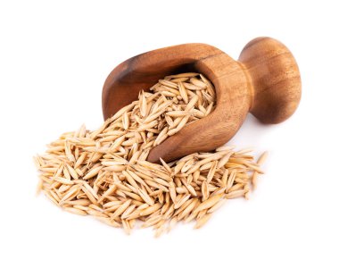 Ahşap kepçe içinde soyulmamış yulaf tohumları, beyaz arka planda izole edilmiş. Organik kuru yulaf tohumları