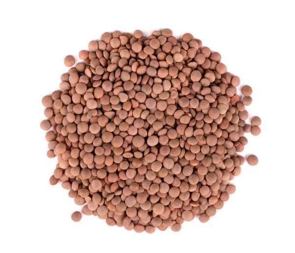 Brown Lentils Isolated White Background Top View — Stock Photo, Image