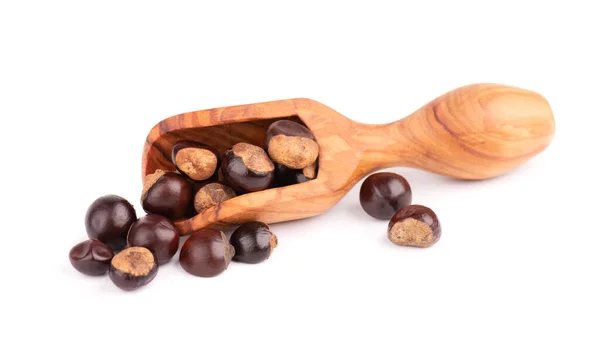 Semilla de guaraná en cuchara de madera, aislada sobre fondo blanco. Suplemento dietético guaraná, cancha de cafeína para bebidas energéticas. —  Fotos de Stock