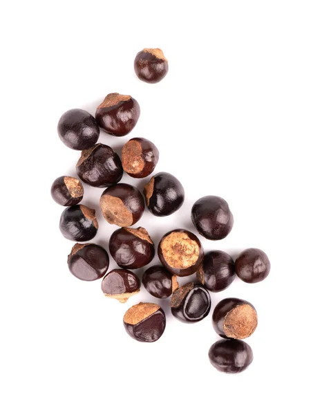 Guarana frö isolerad på vit bakgrund. Kosttillskott guarana, koffein domstol för energidrycker. Paullinia cupana. Ovanifrån. — Stockfoto