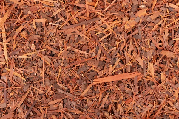 ラパチョハーブティーの背景。天然の竹の乾燥茶。ポー・ダルコ・ハーブ。Tabebuia heptophylla. — ストック写真