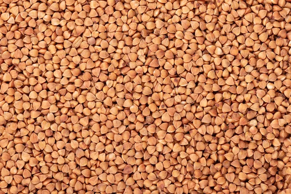 Roasted buckwheat grains background. Dry brown buckwheat groats. — Stockfoto