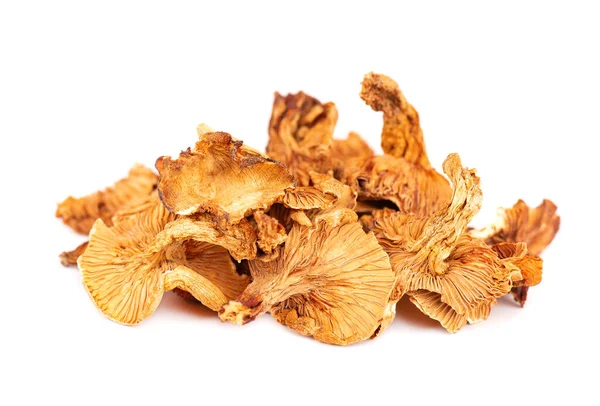 Dried chanterelle mushrooms, isolated on white background. Dried forest chanterelle mushrooms. Cantharellus cibarius. Close up. — Stockfoto