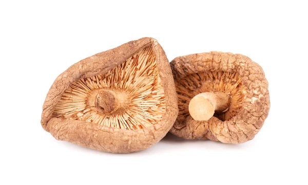 Funghi shiitake secchi, isolati su fondo bianco. Fungo di foresta giapponese. Lentinula edodes. Da vicino.. — Foto Stock