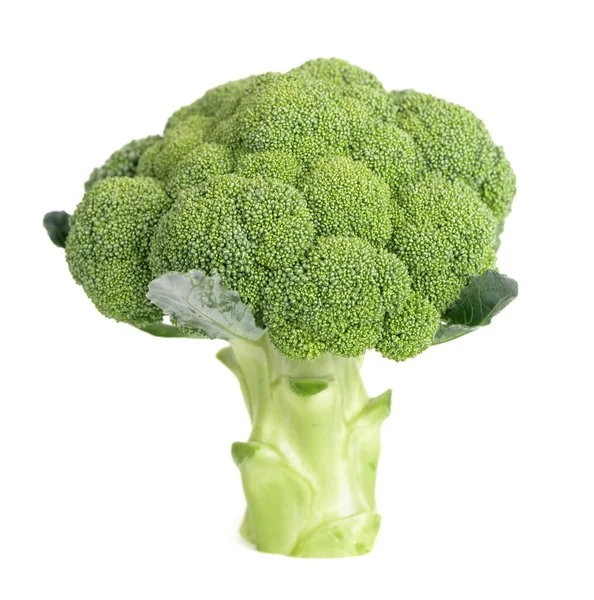 Brokoli Beyaz Arka Planda Izole Edilmiş Çiğ Yeşil Brokoli Sebzesi — Stok fotoğraf