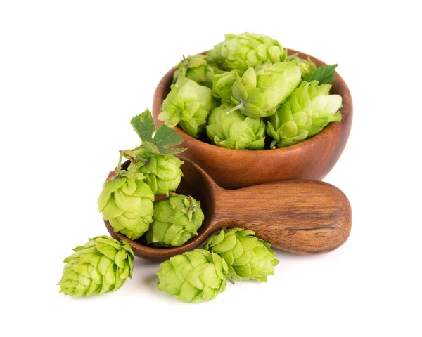 Frischer grüner Hopfenzweig in Holzschale und Kochlöffel, isoliert auf weißem Hintergrund. Hopfenzapfen mit Blatt. Bio-Hopfenblüten. Nahaufnahme. — Stockfoto