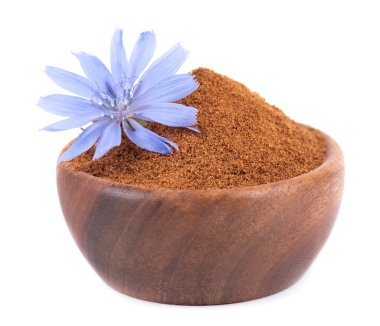 Beyaz arka planda izole edilmiş hindiba tozu ve çiçek. Cichorium İntybus.