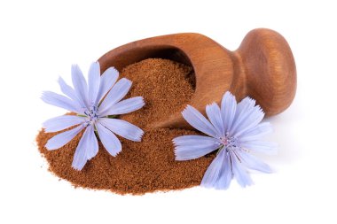 Beyaz arka planda izole edilmiş, ahşap kepçe içinde hindiba tozu ve çiçek. Cichorium İntybus.