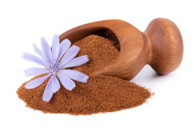 Beyaz arka planda izole edilmiş, ahşap kepçe içinde hindiba tozu ve çiçek. Cichorium İntybus.