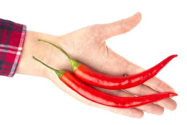 Dvě chilli v ruce — Stock fotografie