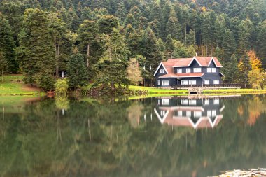 Bolu Golcuk Milli Parkı 'nda orman içindeki Güz Tahta Göl evi, Türkiye duvar kağıdı