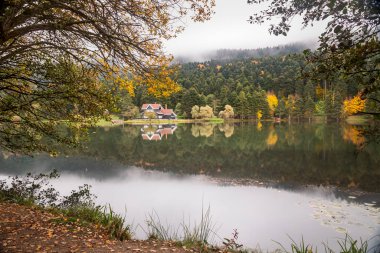 Bolu Golcuk Milli Parkı 'nda orman içindeki Güz Tahta Göl evi, Türkiye duvar kağıdı