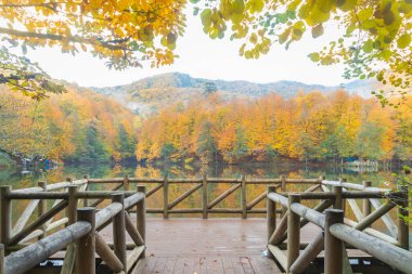 Sonbahar renkleri. Gölde renkli yapraklar var. Muhteşem bir manzara. Natonial Parkı. Yedigoller. Bolu, İstanbul, Türkiye.