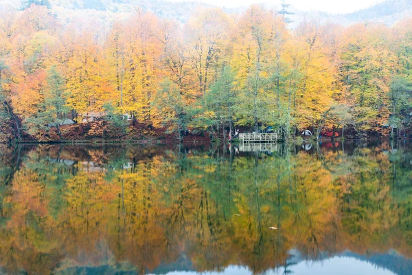 Couleurs Automne Feuilles Tombées Colorées Dans Lac Magnifique Paysage Parc — Photo