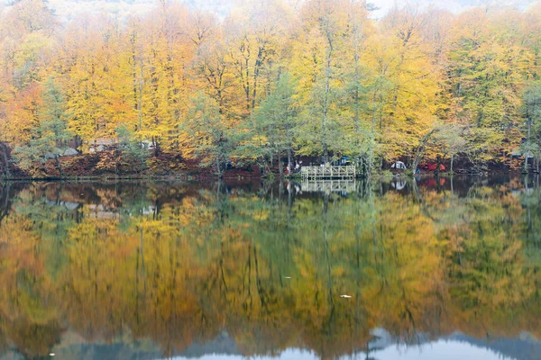 秋の色 湖の色鮮やかな落ち葉 壮大な風景 国立公園 イエディゴラー トルコのイスタンブールボル — ストック写真