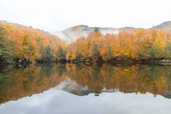 Cores Outono Folhas Coloridas Caídas Lago Magnífica Paisagem Parque Natonial — Fotografia de Stock