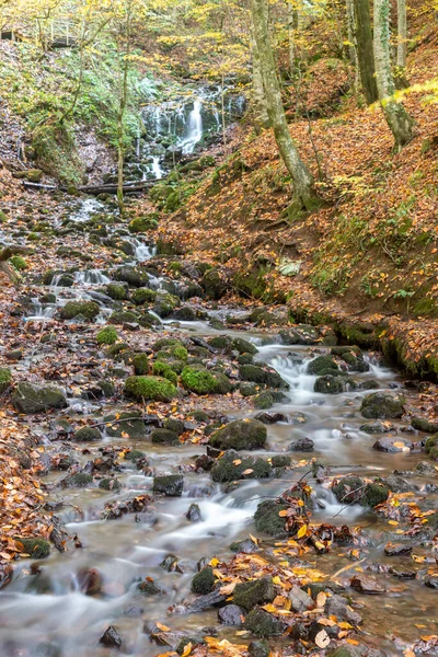 Podzimní Barvy Barevné Spadané Listí Jezeře Nádherná Krajina Národní Park — Stock fotografie