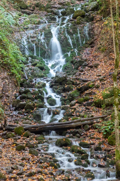 Herfst Kleuren Kleurrijke Gevallen Bladeren Het Meer Prachtig Landschap Natonial — Stockfoto