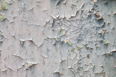 Duvardaki çatlak boya.