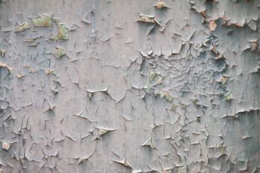 Duvardaki çatlak boya.