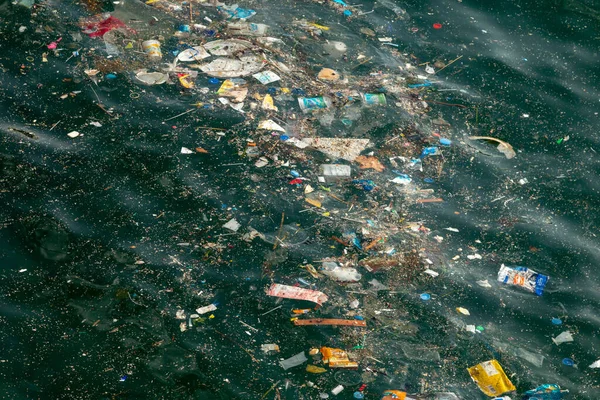 Litter at sea, environmental pollution