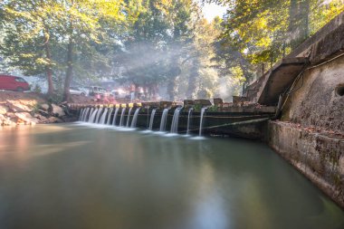 Güneş ışığı ağaç dallarından filtrelenir (Türkçe isik huzmesi)
