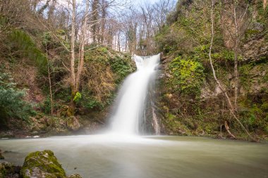 Yeşil Orman ve Şelale Gölde Akıyor (Ceneda elalesi, Derince, Kocaeli Trkiye)