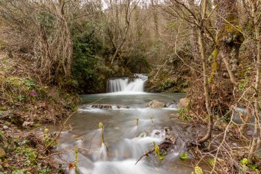 Yeşil Orman ve Şelale Gölde Akıyor (Ceneda elalesi, Derince, Kocaeli Trkiye)