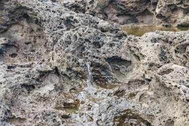 Deniz kenarındaki göktaşı benzeri kayalar.