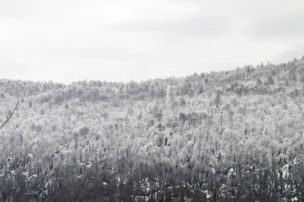 Bela Paisagem Inverno Com Neve Nas Árvores — Fotografia de Stock