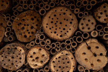 Türkiye 'nin Efes kentindeki Celsius Kütüphanesi harabeleri güzel bir yaz gününde